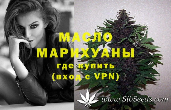 дмт Арсеньев